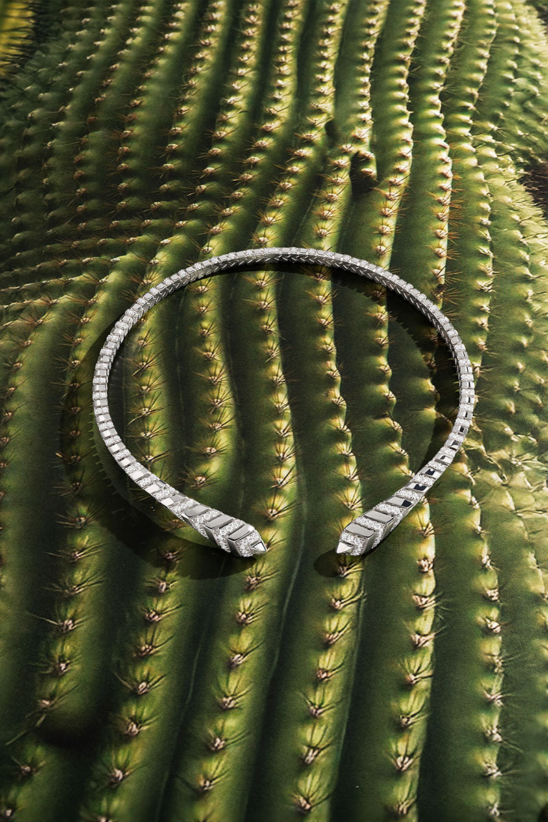 APM Monaco Collection Automne KAA Silver Choker on a cactus